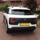 Illustration for article titled Succulent (Cactus) Yes, Citroen Cactus